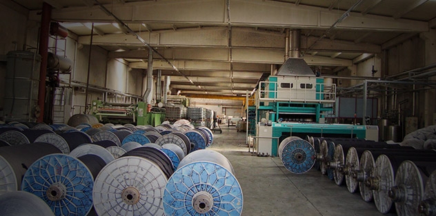 Büyüme Çalışmalarımız